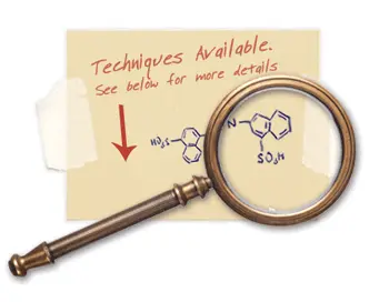 Techniques Available for Large Molecule Characterization