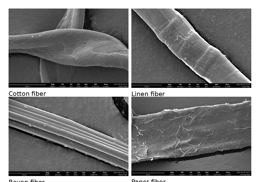 SEM comparison of cotton, linen, rayon, and paper fibers