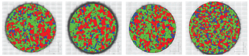 Raman chemical images comparing analgesic tablets